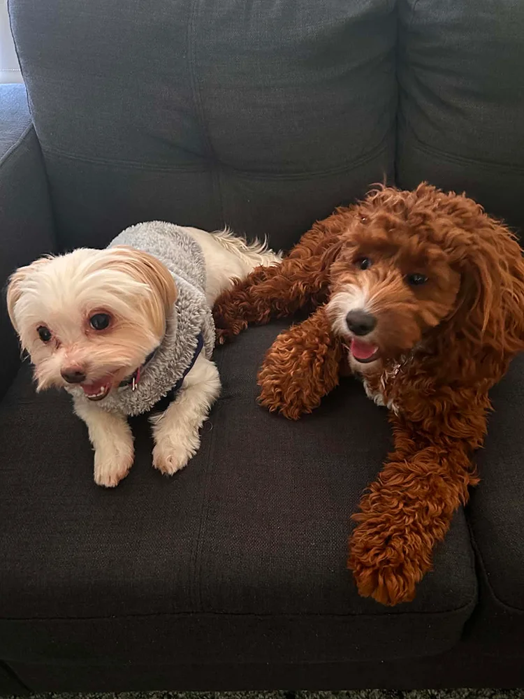 Rosie & Ellie